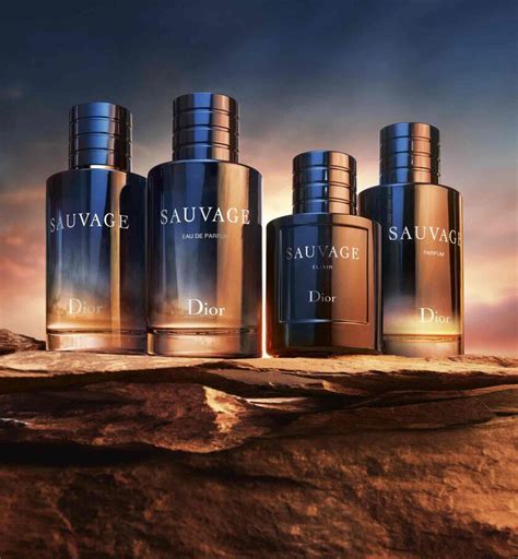 sauvage universum dior